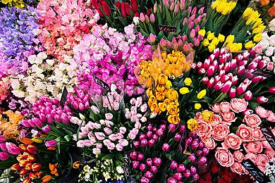 音游《节奏次元》Switch版10月26日发售 DLC同步