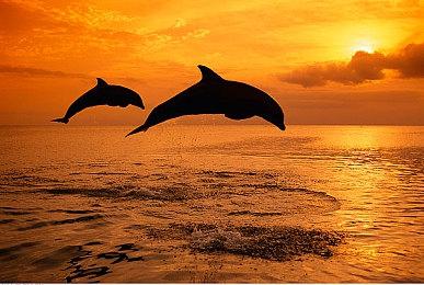 《破晓传说》游戏时长将与《狂战传说》类似